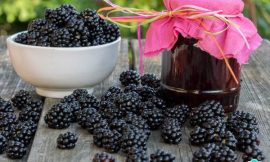 Geleia de Amora: Caseira, Fácil e Sabor Inigualável!