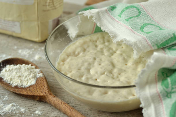Pizza de Farinha com Fermento: Base Rápida para Qualquer Sabor