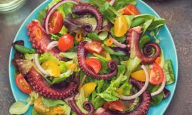 Salada de Polvo com Vinagrete de Limão Refrescante