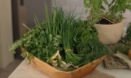 Guia de ervas: como temperar sem amargar a comida