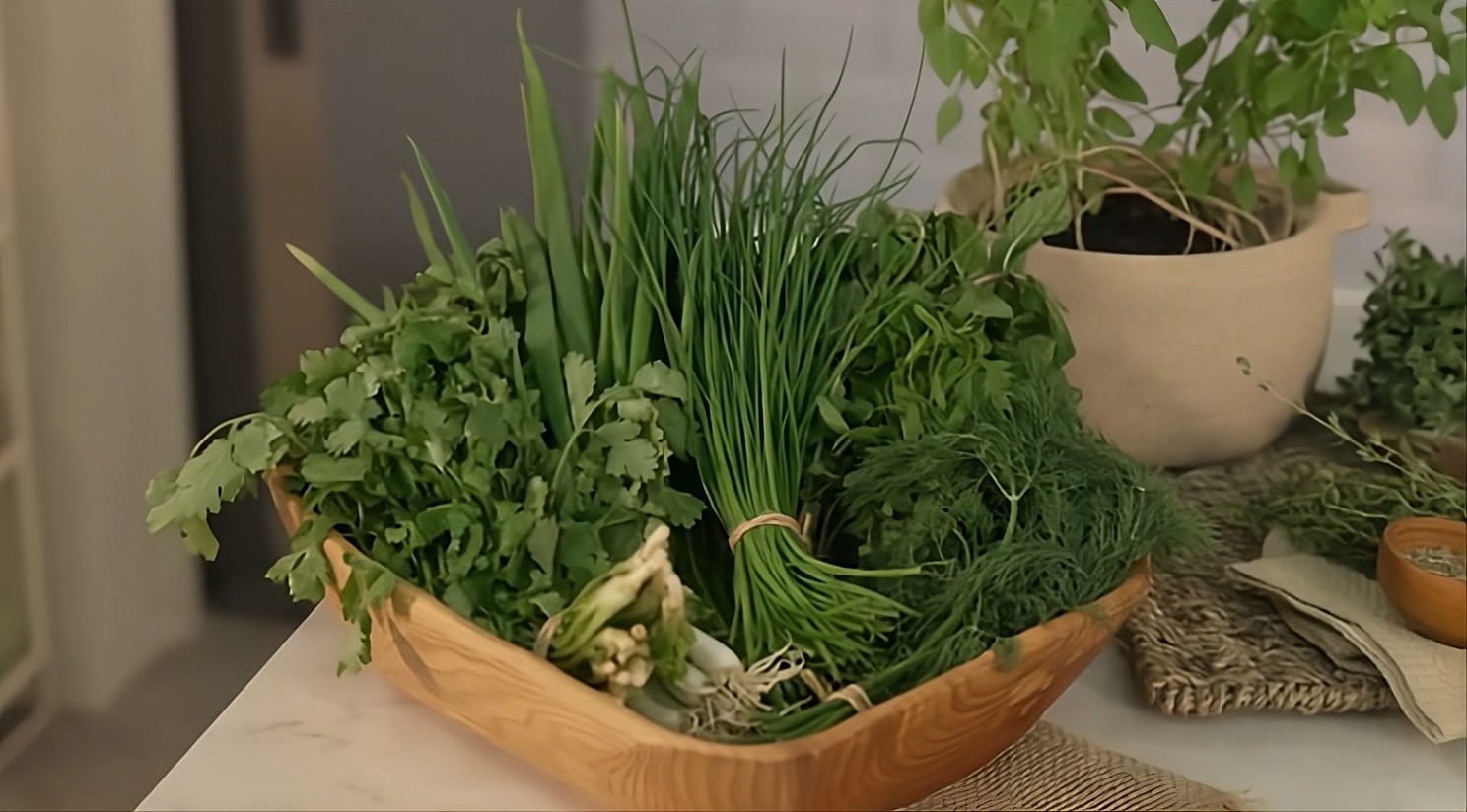 Guia de ervas: como temperar sem amargar a comida