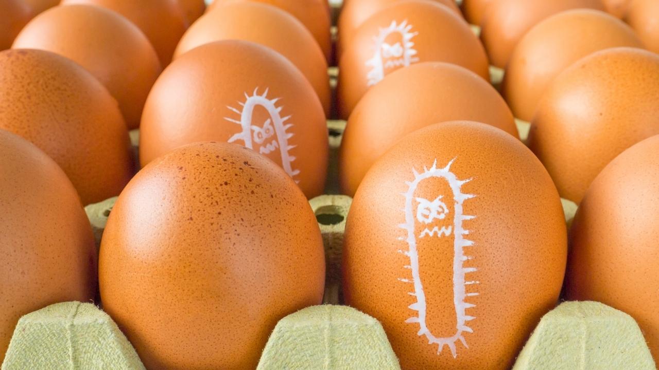 Lavar frango cru faz mal? Mitos e verdades da Anvisa Lavar frango cru faz mal? Mitos e verdades da Anvisa