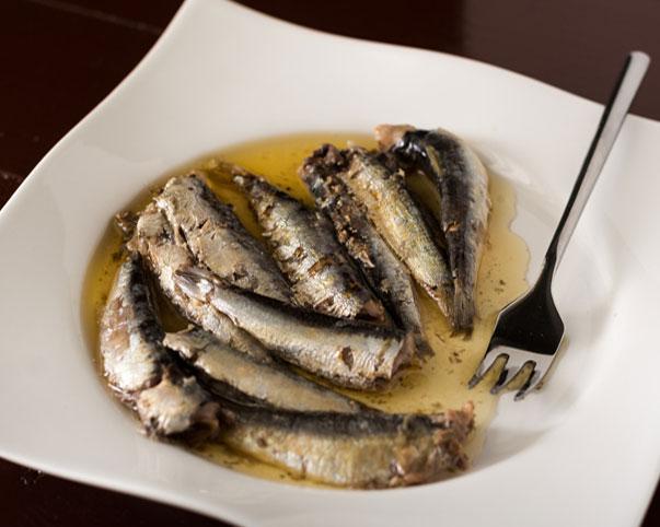 Sardinha em Conserva no Azeite Caseira e Deliciosa Sardinha em Conserva no Azeite Caseira e Deliciosa