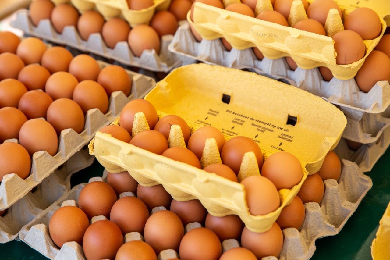 Ovos na Geladeira ou Fora? O Guia Definitivo de Armazenamento Ovos na Geladeira ou Fora? O Guia Definitivo de Armazenamento
