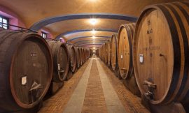 Segredos dos vinhos de guarda para envelhecer bem