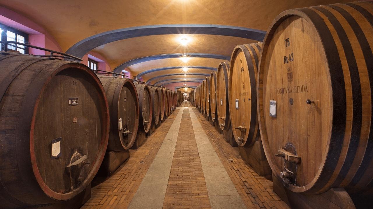 Segredos dos vinhos de guarda para envelhecer bem